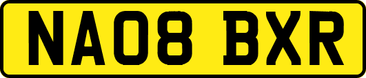 NA08BXR