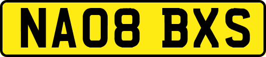 NA08BXS
