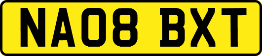NA08BXT