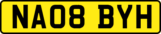 NA08BYH
