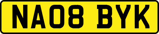 NA08BYK
