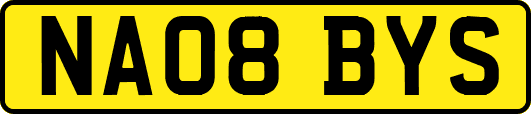 NA08BYS