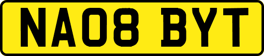 NA08BYT
