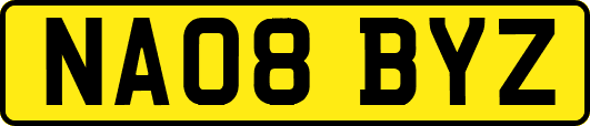 NA08BYZ