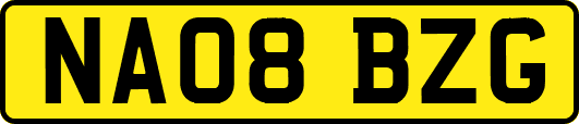 NA08BZG