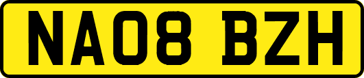 NA08BZH