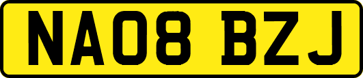 NA08BZJ