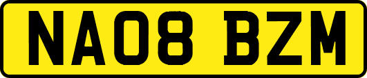 NA08BZM