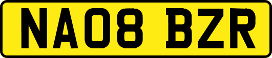 NA08BZR