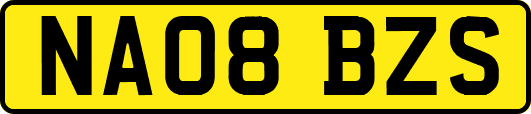 NA08BZS
