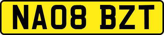 NA08BZT