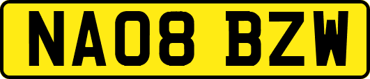NA08BZW