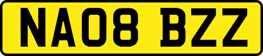 NA08BZZ