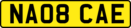 NA08CAE