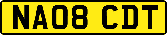 NA08CDT