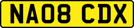 NA08CDX