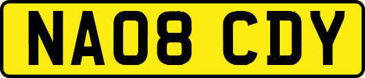 NA08CDY
