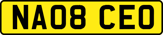 NA08CEO
