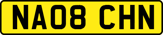 NA08CHN