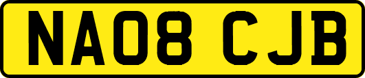 NA08CJB