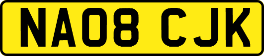 NA08CJK