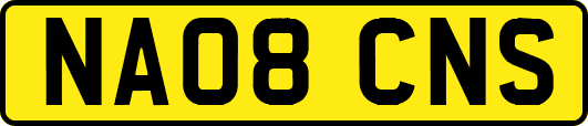 NA08CNS