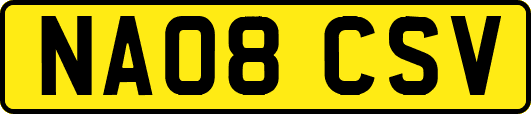 NA08CSV