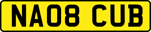 NA08CUB