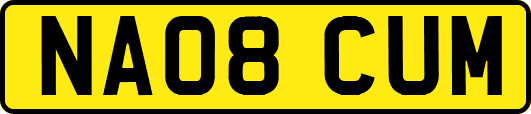 NA08CUM