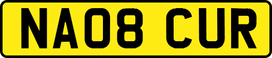 NA08CUR