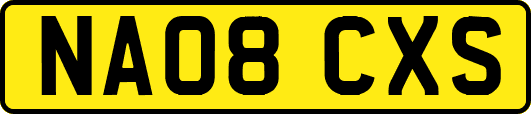 NA08CXS