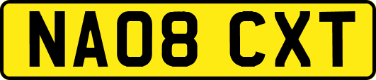NA08CXT