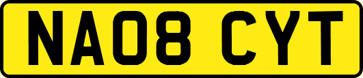 NA08CYT