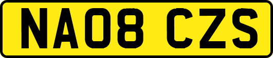 NA08CZS