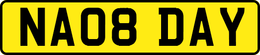 NA08DAY