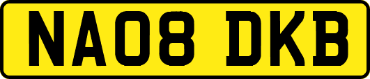 NA08DKB