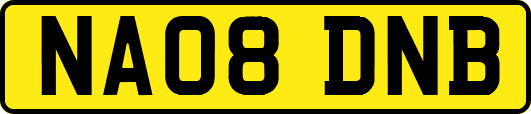 NA08DNB