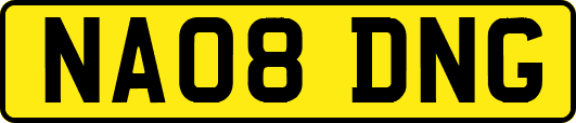 NA08DNG