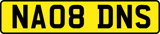 NA08DNS