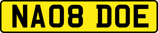 NA08DOE