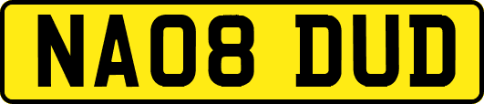 NA08DUD