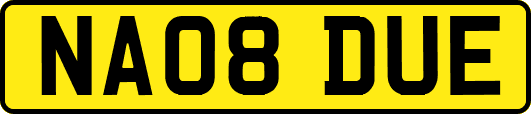 NA08DUE