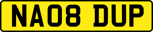 NA08DUP