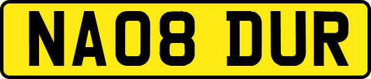 NA08DUR