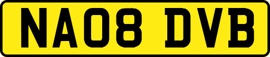 NA08DVB