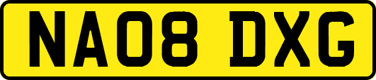 NA08DXG