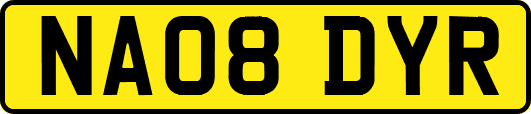NA08DYR