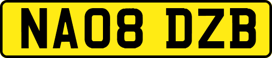 NA08DZB