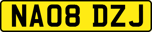 NA08DZJ