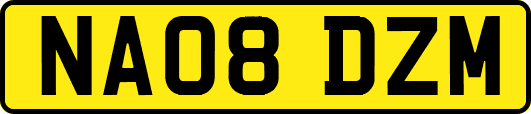 NA08DZM